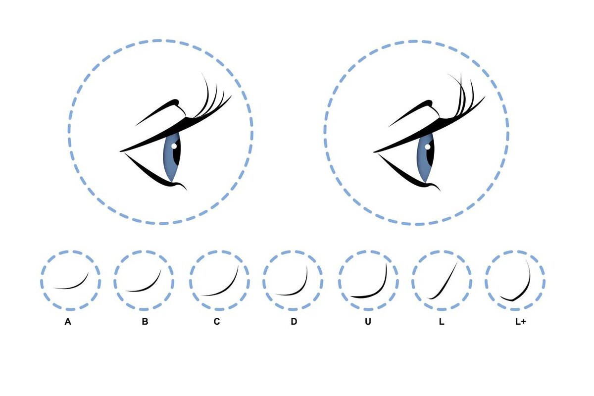 La vector/shutterstock📷Изгиб "С" один из самых популярных и подходит практически всем, формы "L" и "L+" лучше выглядят на глубоко посаженных глазах или при азиатском разрезе