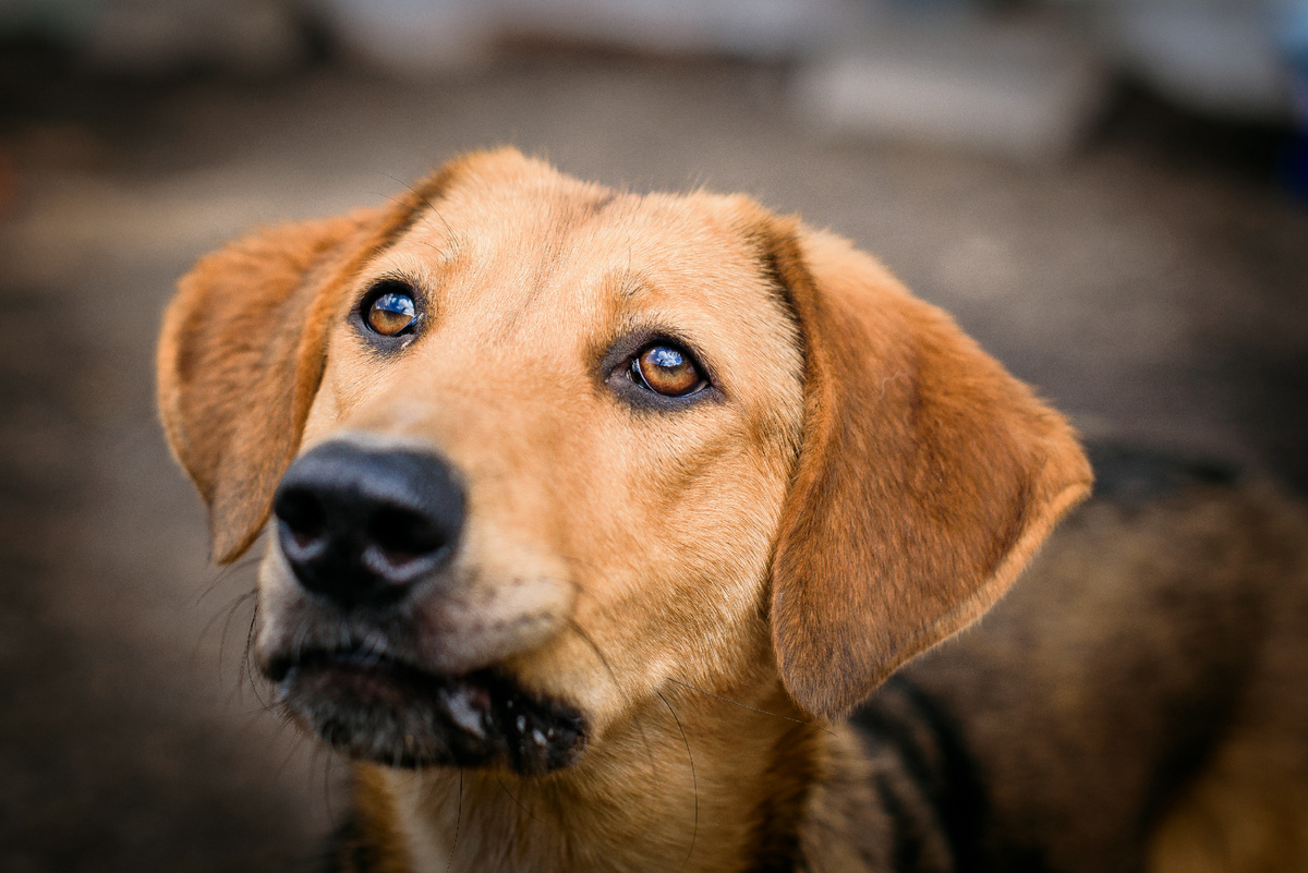 Великий вопрос жизни — как жить среди людей? 