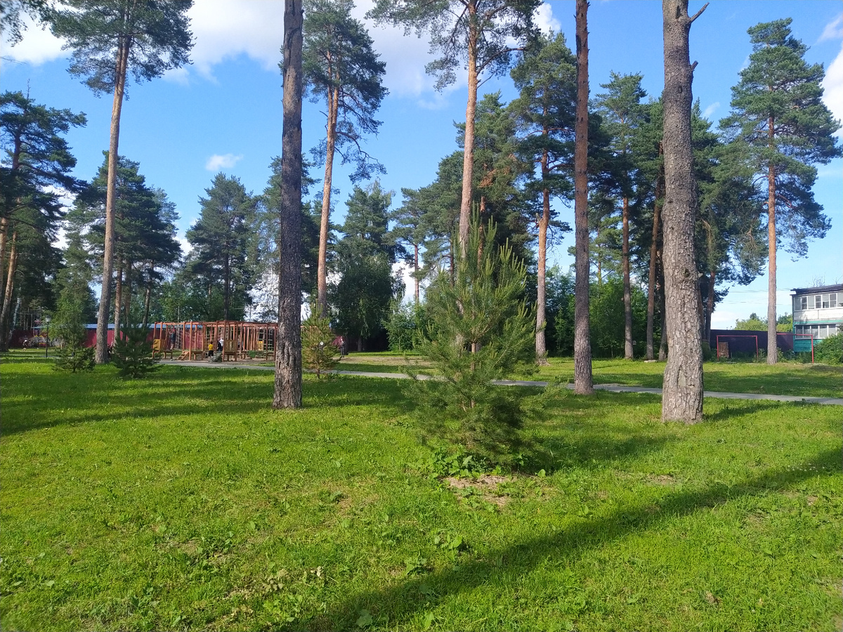 Сад памяти Фото автора