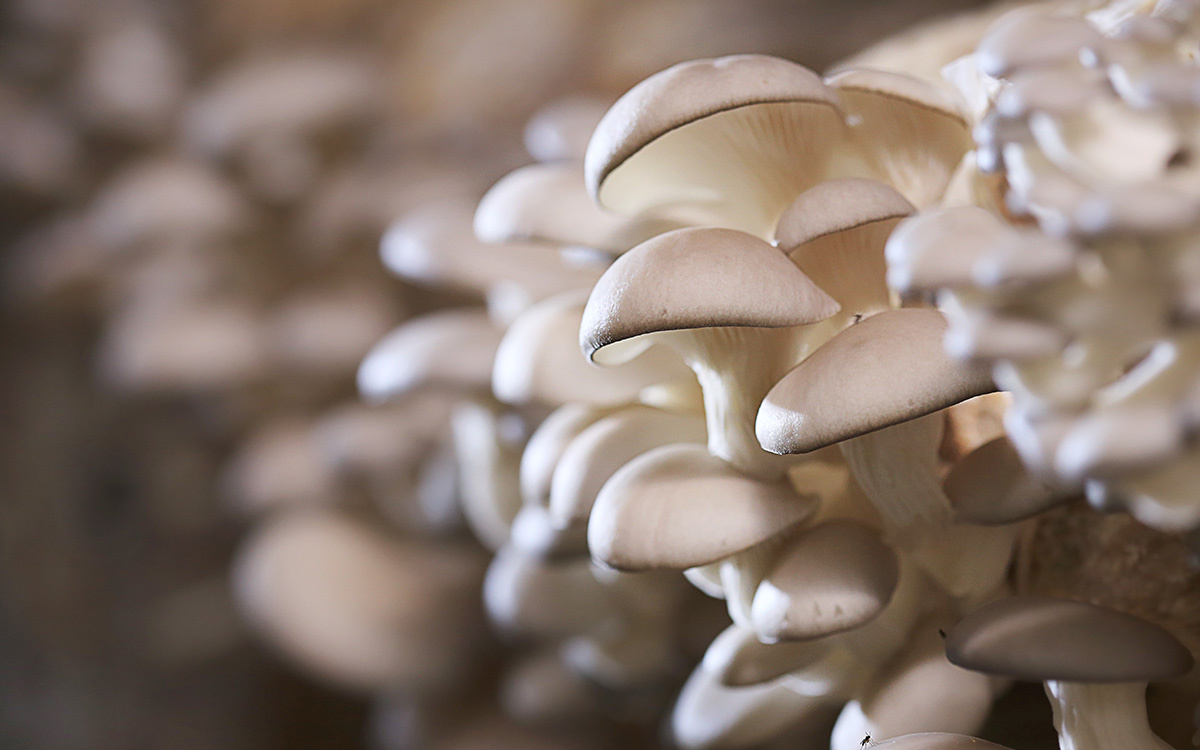    Marie Shark / Shutterstock / FOTODOM