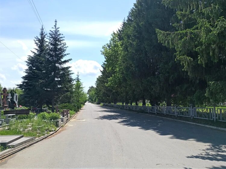 Главная аллея Баныкинского кладбища: слева похоронена "братва", справа - все остальные. Фото: Александра БУДАЕВА.