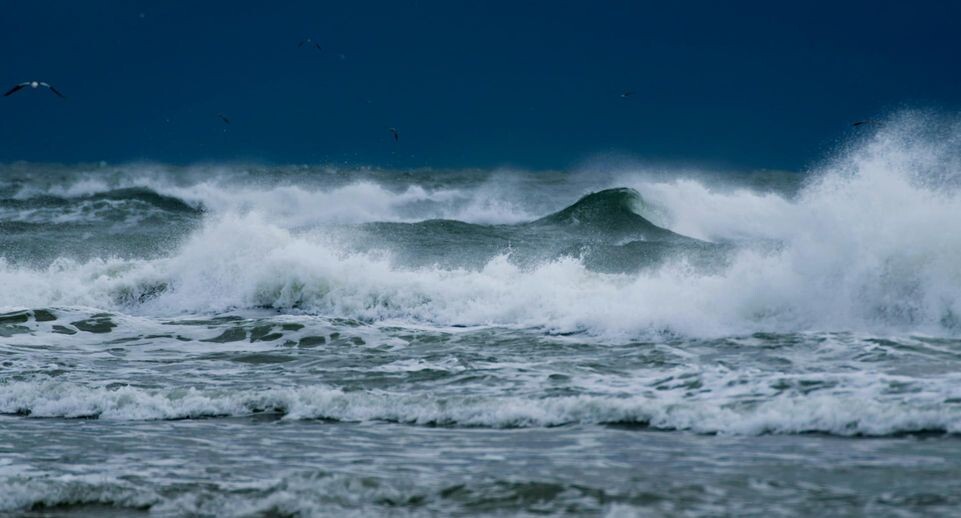    Unsplash