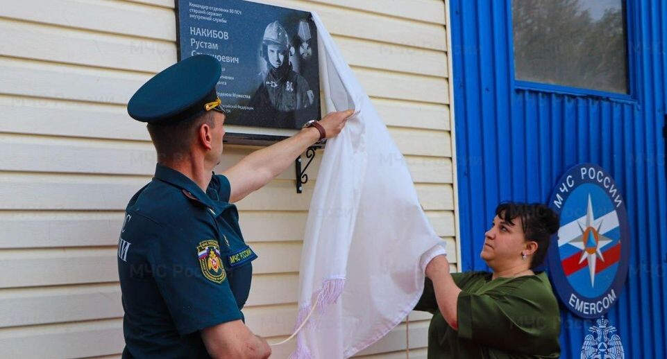    Главное управление МЧС России по Московской области