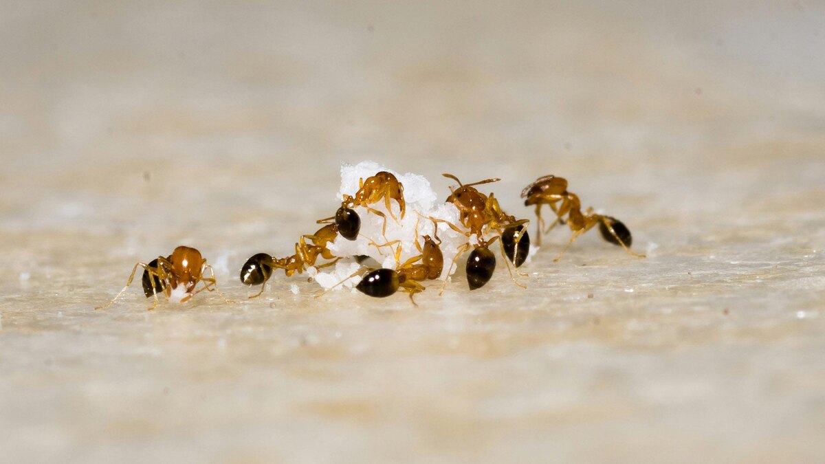 Фото: unsplash.com