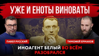 Уже и еноты виноваты. Иноагент Белый во всём разобрался | Павел Русский и Тимофей Ермаков