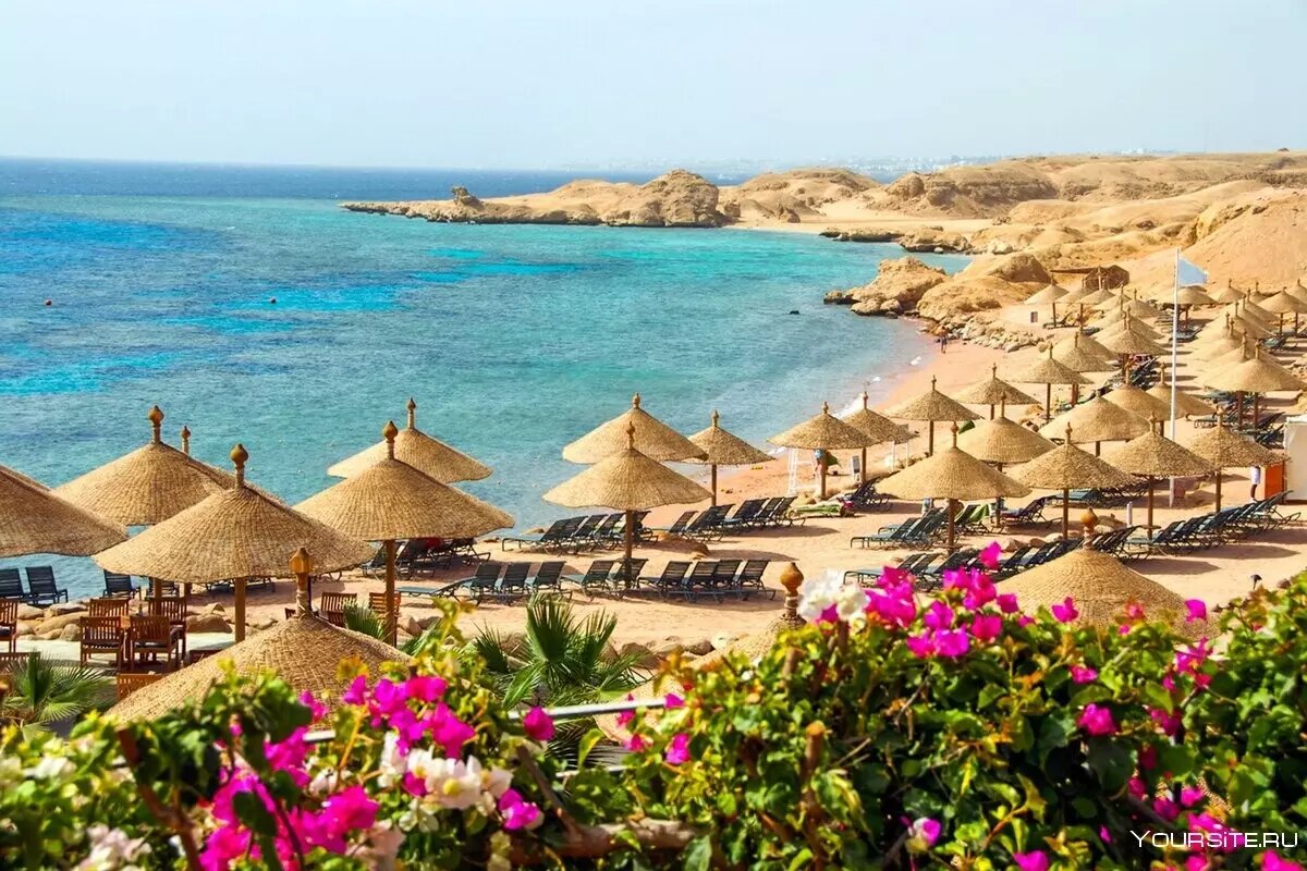 Египет в 2024 году может составить конкуренцию курортам Крыма и Краснодарского края. Фото: sportishka.ru