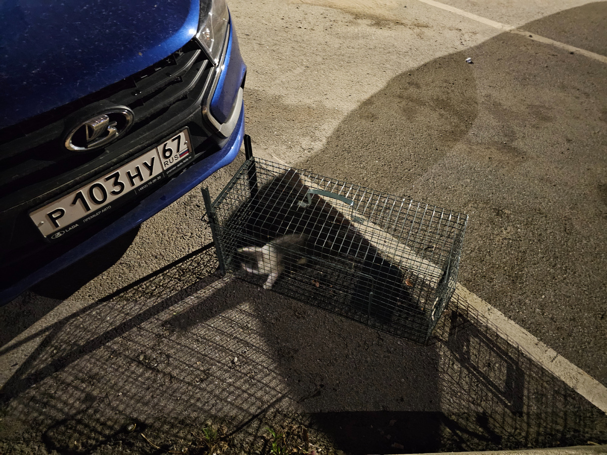 Фото автора. Поймала.