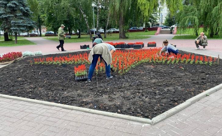    фото Курские известия