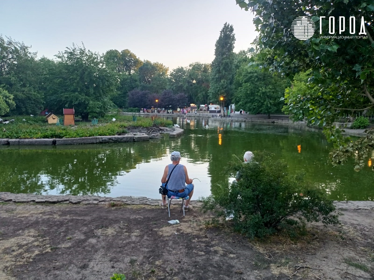 В Краснодаре одинокие пенсионеры ищут денег и общения на улице | Новости  Краснодара и Краснодарского края - krd.gorod.space | Дзен