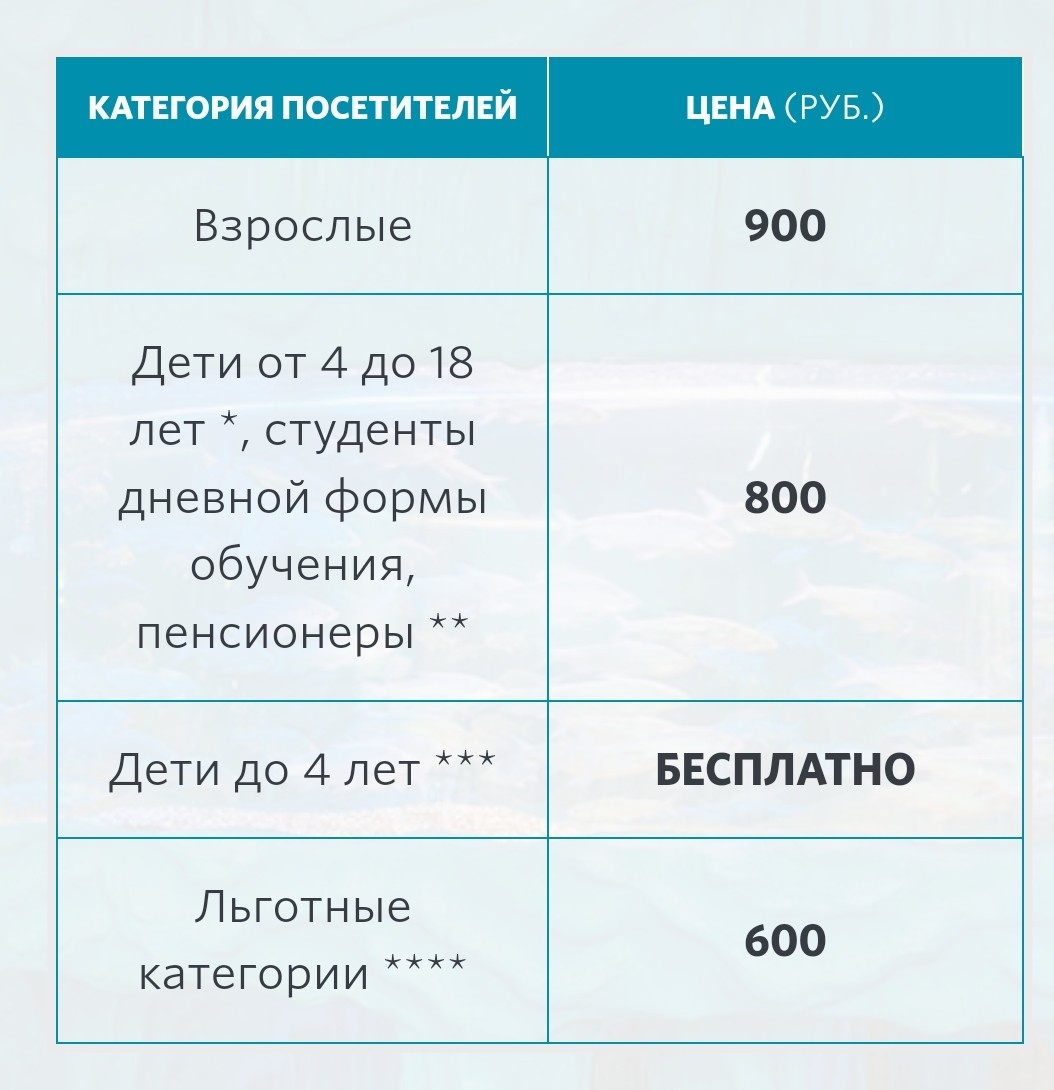 Соцподдержка детей-инвалидов в Москве и за её пределами | Заметки на бегу  (ОнлиЯ) | Дзен