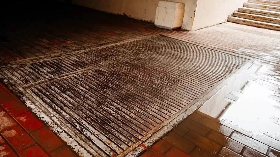     Источник: chelny-biz