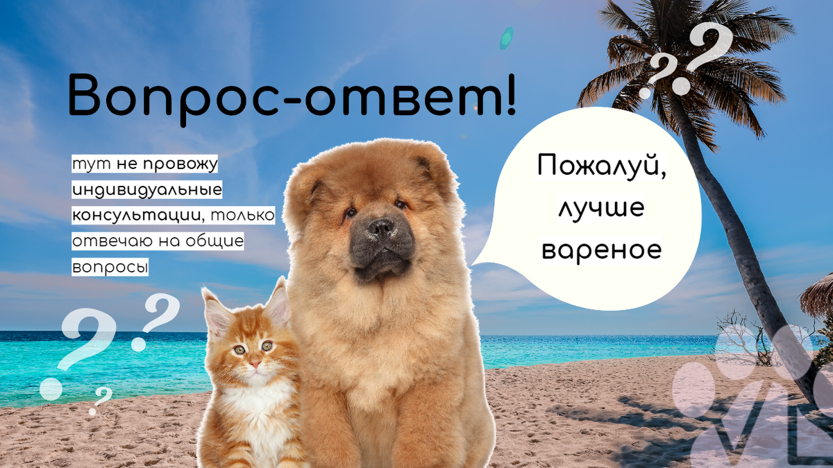 Приветствую читателей канала vetLIFE! И всех мимо проходящих в общей ленте статей. Я ветеринарный врач-диетолог Быкова Анастасия, а тут — постоянная на моём канале рубрика "вопрос-ответ".