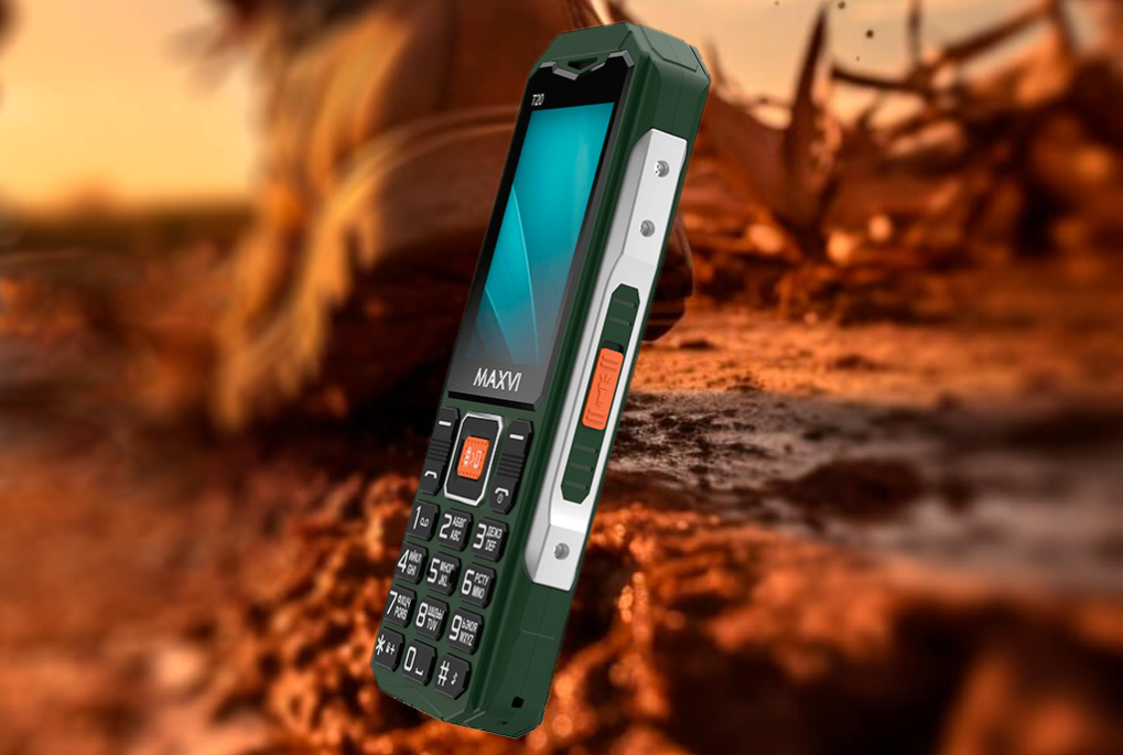 Источник изображения: Maxvi