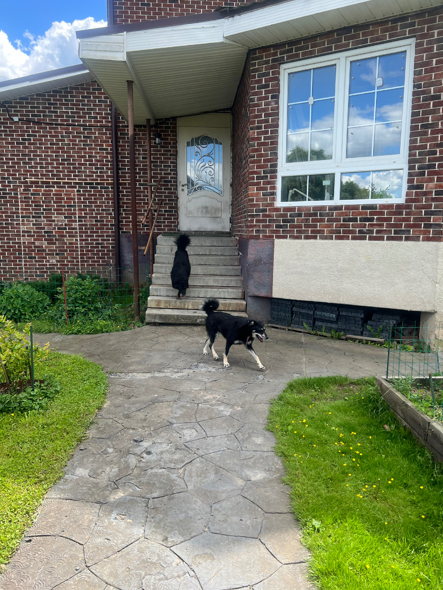 Девчонки спешат по делам! 