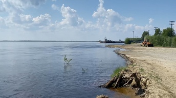 Нижневартовск сегодня, 25 июня 2024 года, река Обь , переправа, иду по центру города.