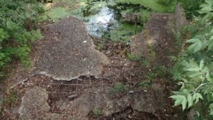    Фото: пресс-служба Росводресурсов