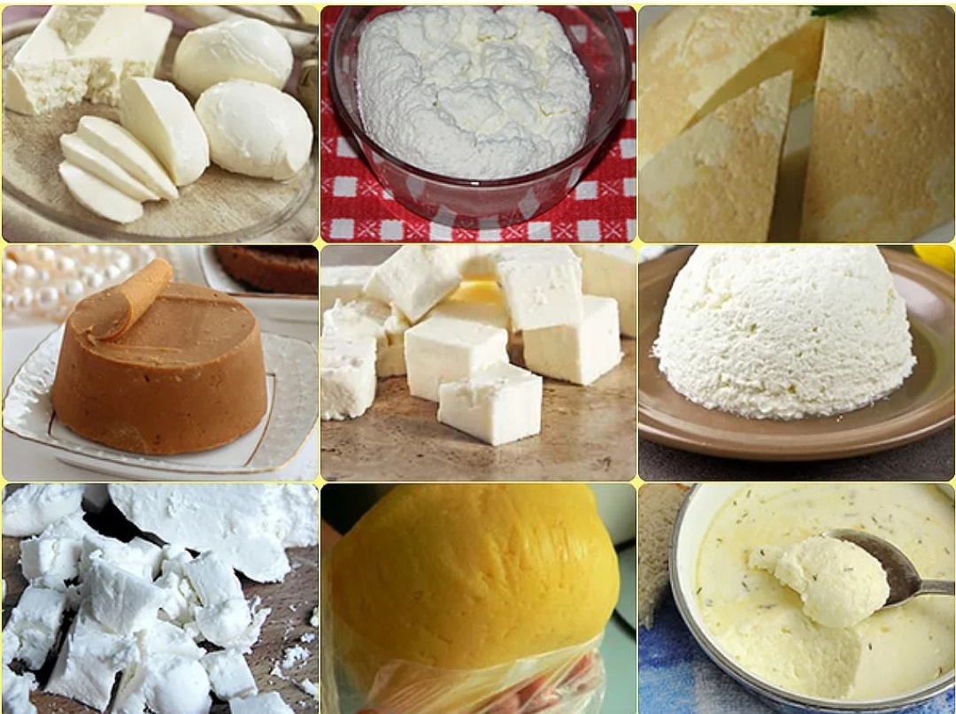 Разнообразие сыров.