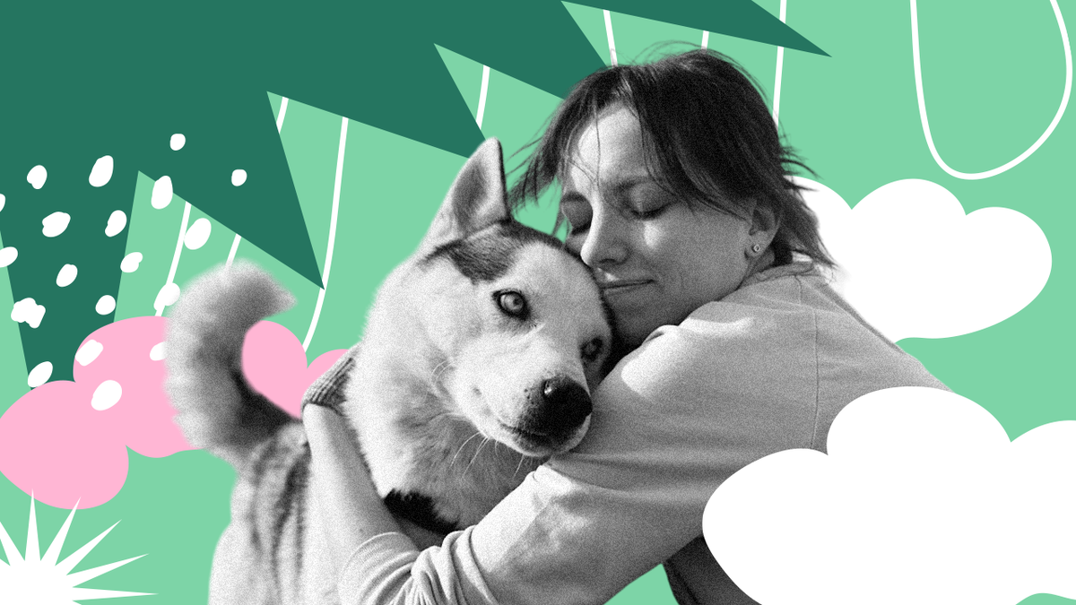 Коллаж © VK Гид. © VK / Волонтерское движение «Погуляй cобаку»; Freepik