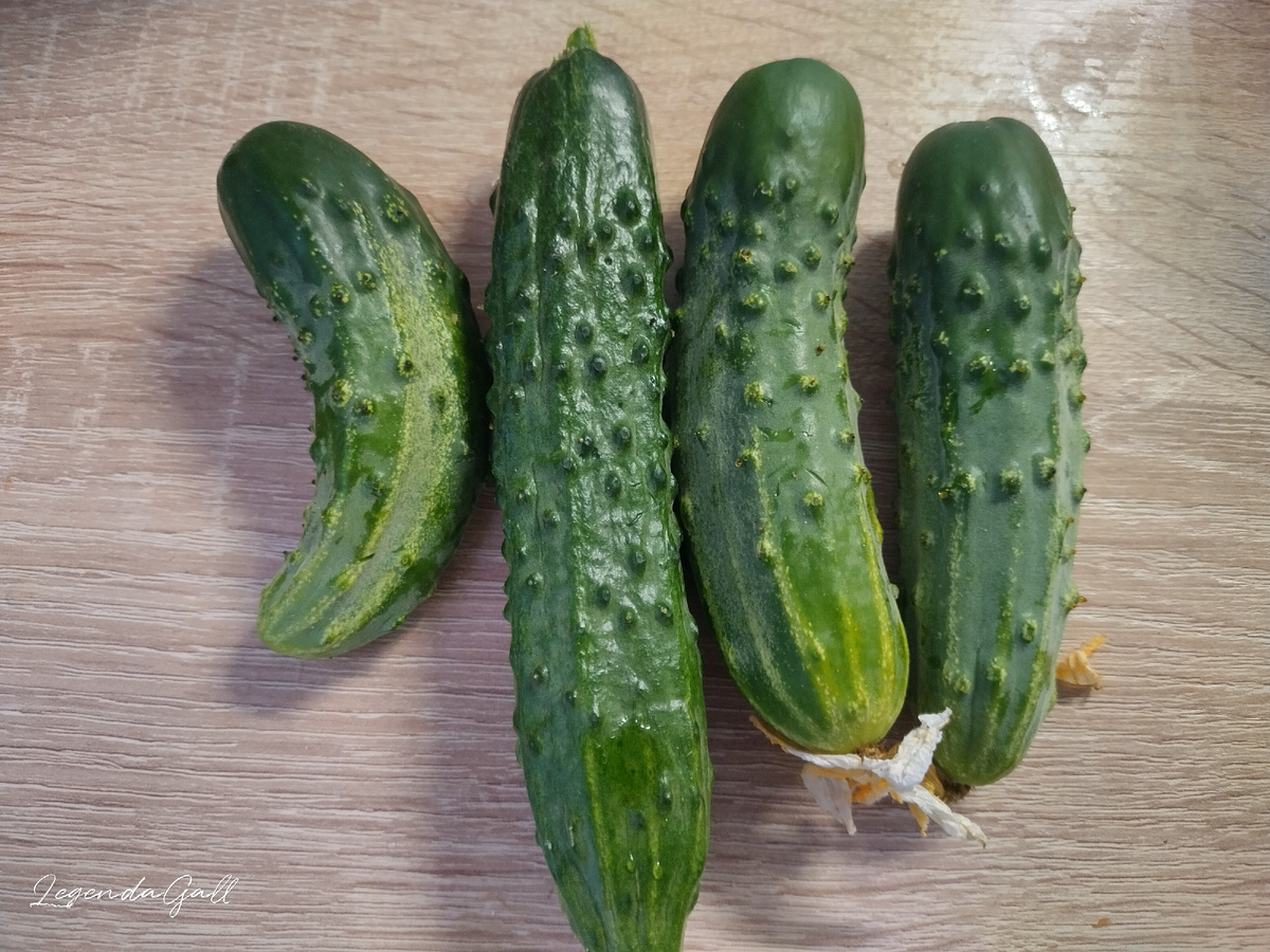 Три огурца вот этого непонятного сорта. Длинный - Зозуля, он соответствует сорту.