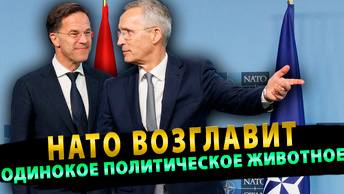 НАТО возглавит «одинокое политическое животное»
