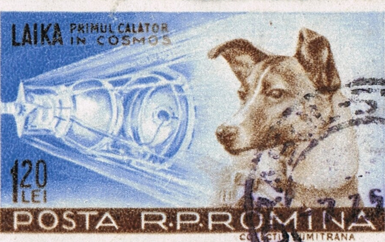 Осень 1957 года: СССР совершает очередной прорыв в космосе, но вместо ликования мир встречает его с печалью. На орбиту выведено первое живое существо – собаку Лайку.
