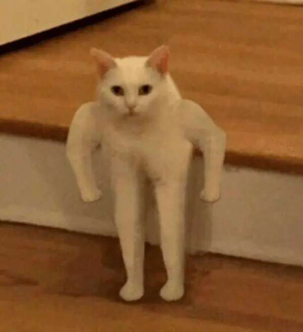 “Это я иду впитывать инфу по продажам, чтобы стать еще круче”