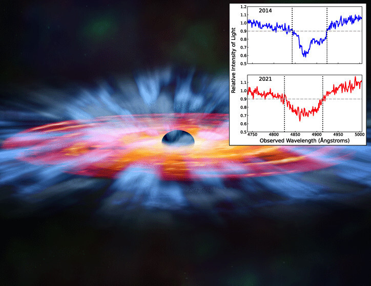    Фото: NASA/CXC/M. Weiss, Catherine Grier and the SDSS collaboration Сдвиг поглощенного света влево показывает ускорение газа, толкаемого ветрами квазара