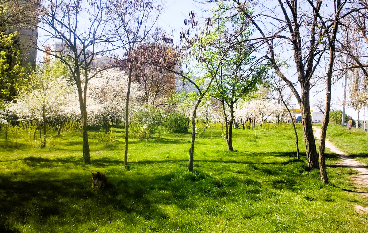 Фото автора