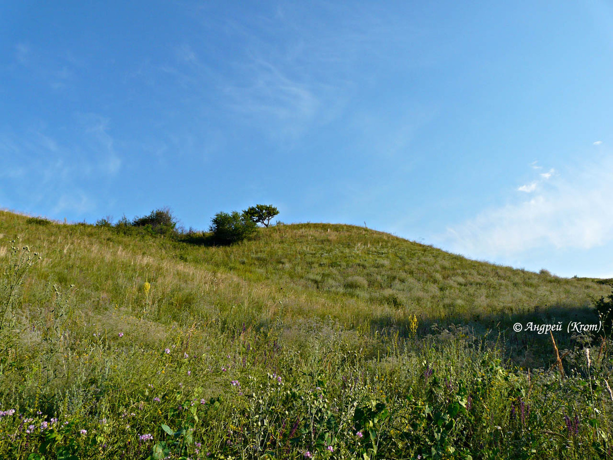Холмы у ж/д полустанка
