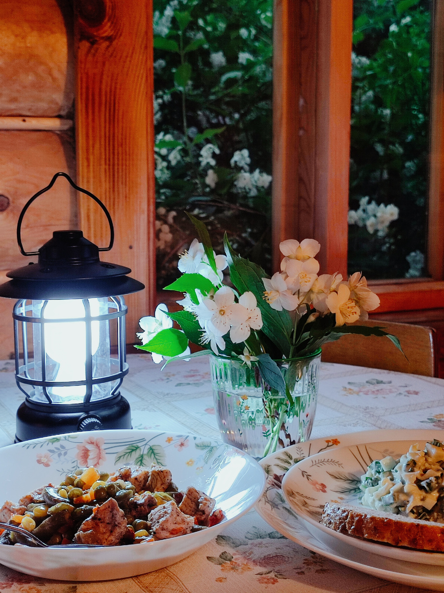 Ужин на даче: индейка с овощами и салат из зелёного лука с яйцом, заправленный сметаной 