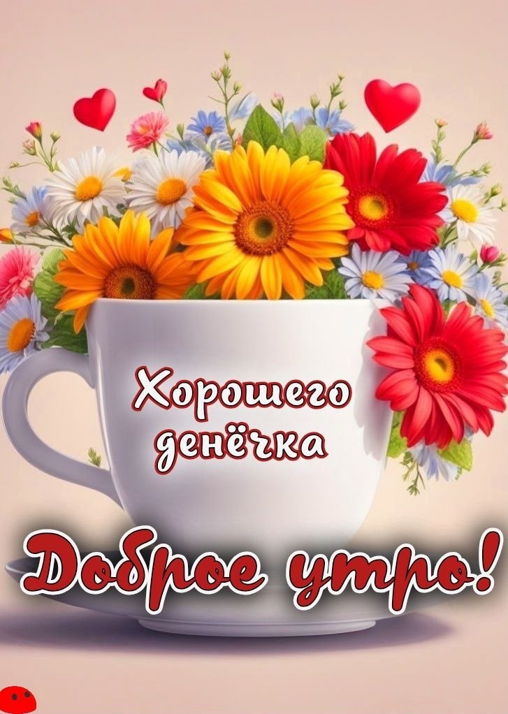 Picture background