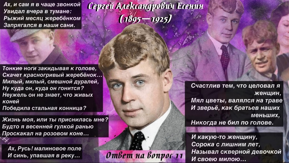 Коллаж автора, фото из свободного доступа