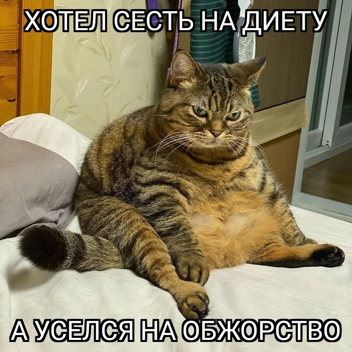 Даже расстроился.