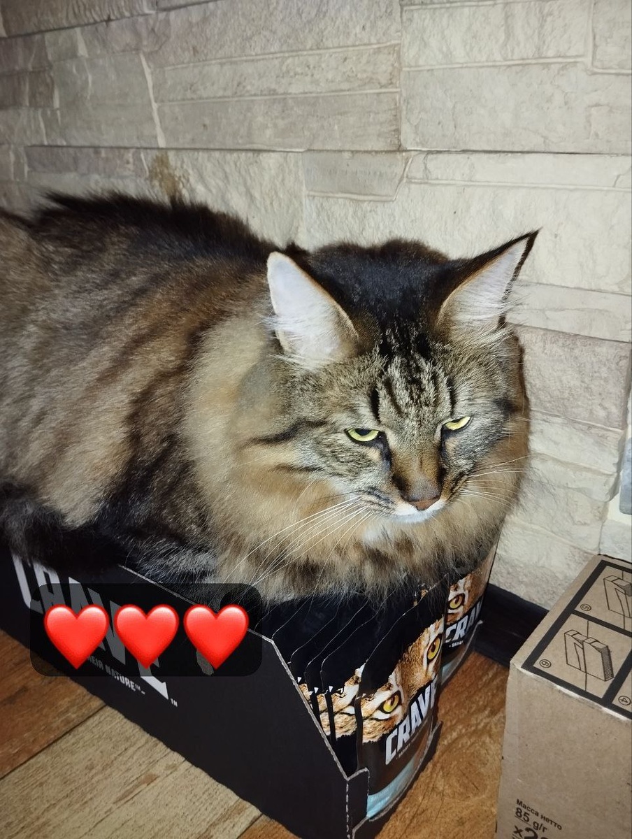 Хоть я это и не ем, а лежать на нём удобно!