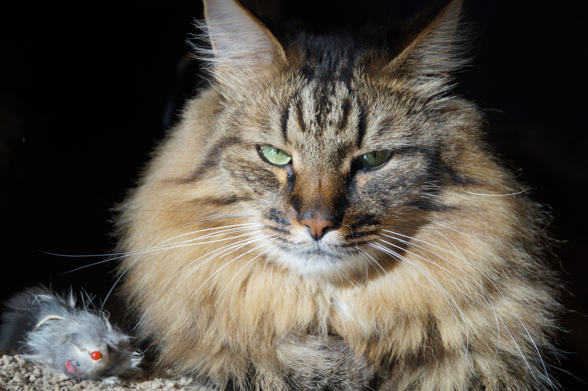 Ты читаешь про меня? Но делаешь это без уважения!