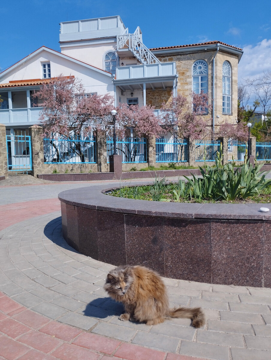 Фото Натальи: канал "Страна Коктебель"