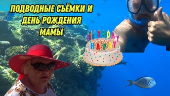 Подводные съёмки и день рождения мамы 🎂🎂🎂