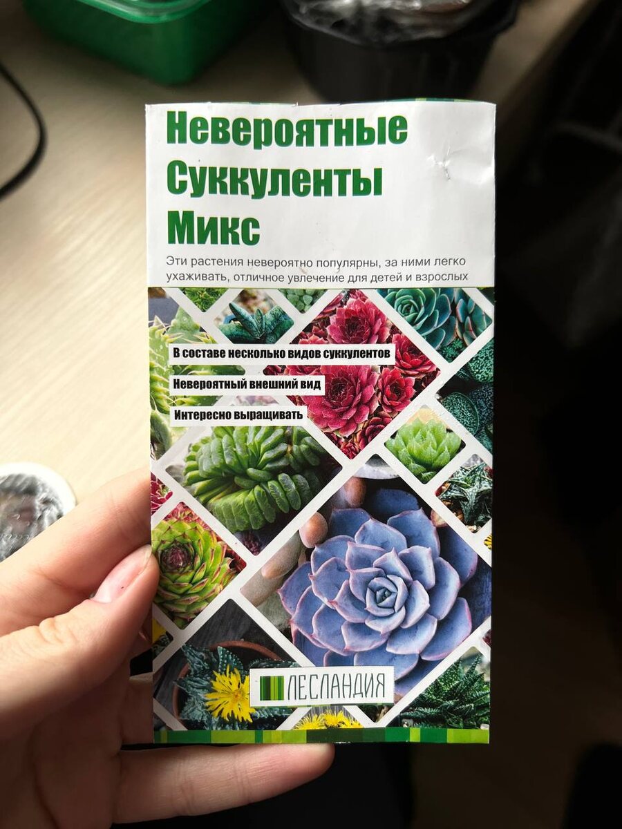 Микс семян суккулентов