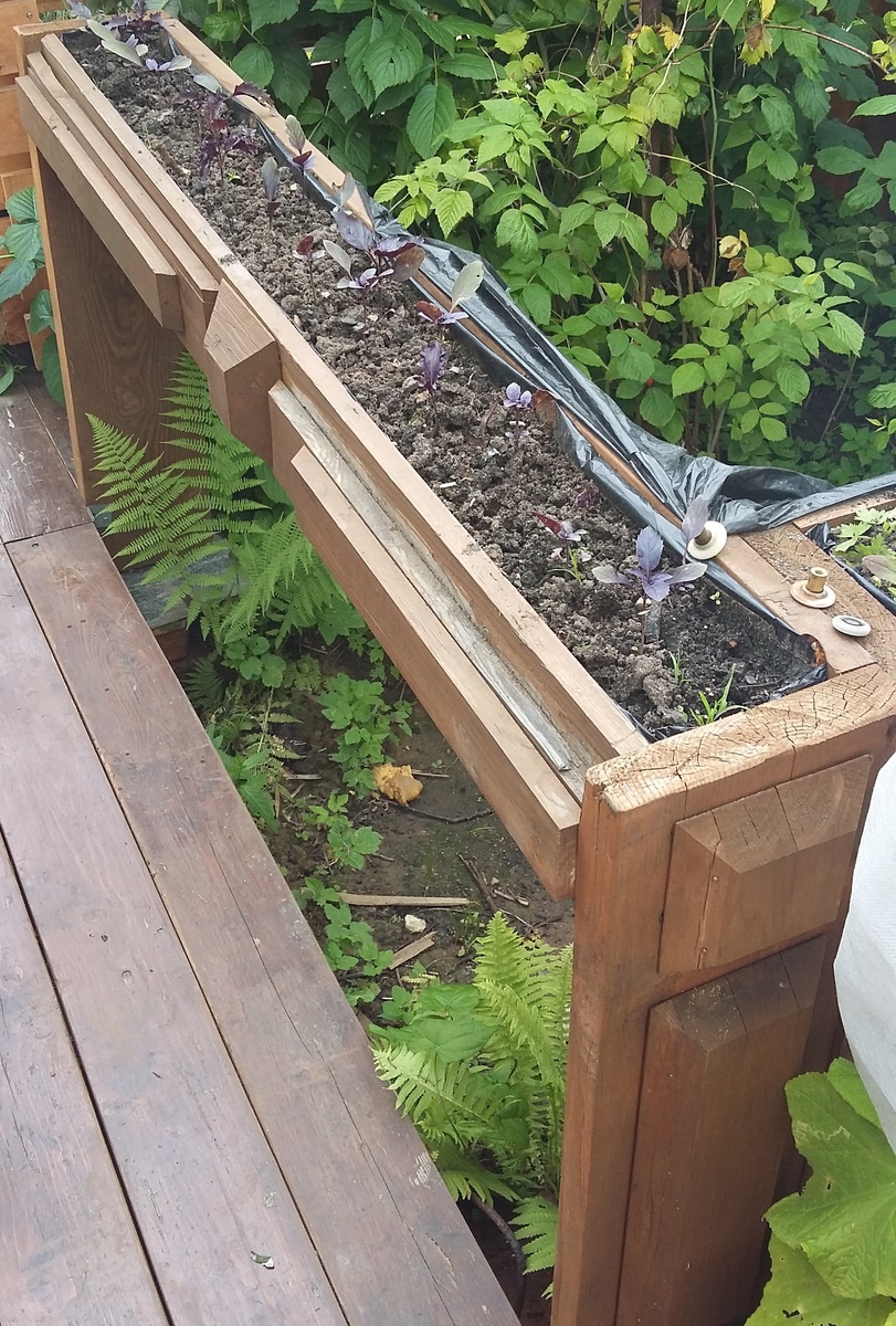 Клуиба на уровне пояса