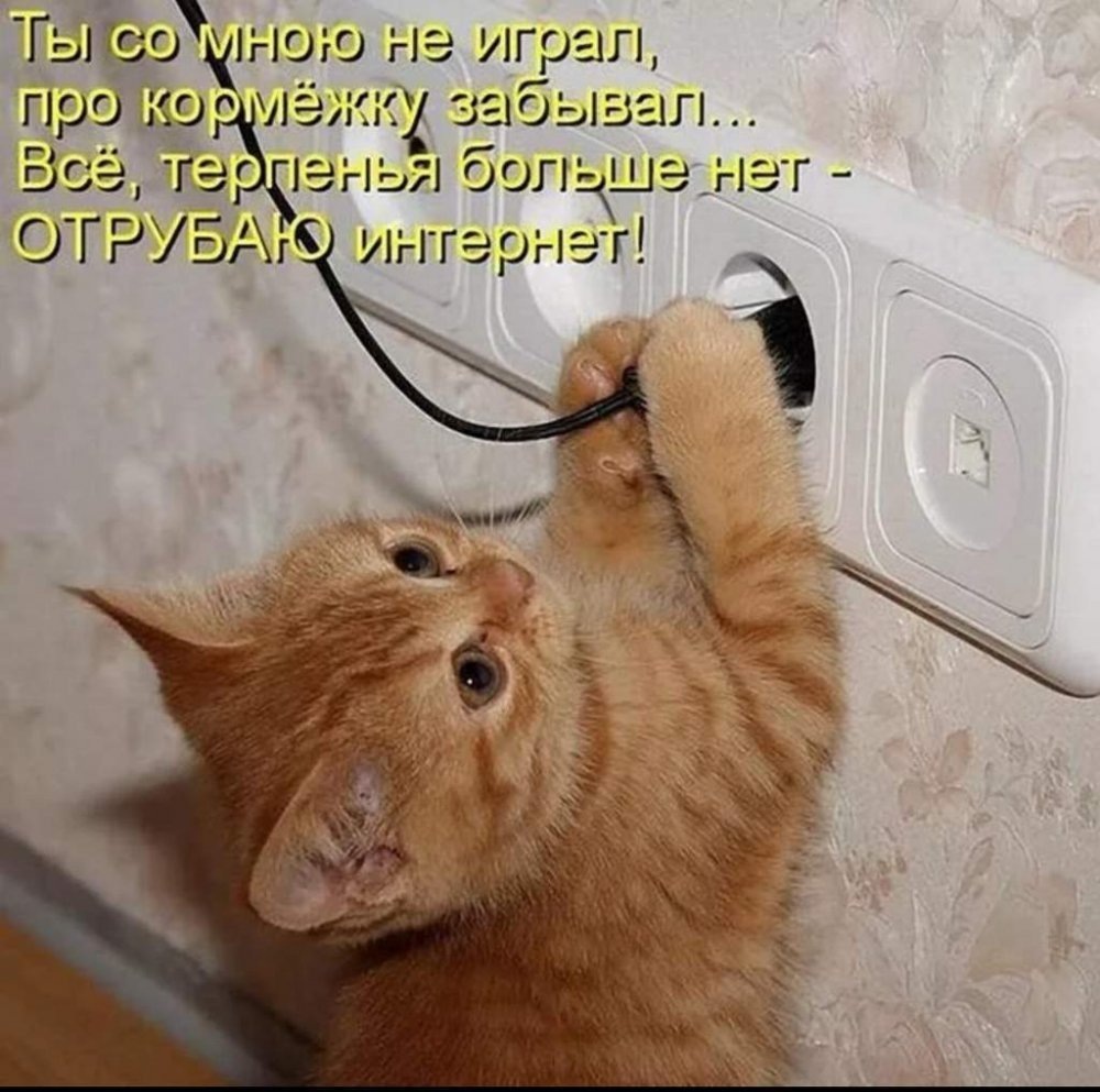 Тебя надо выключить