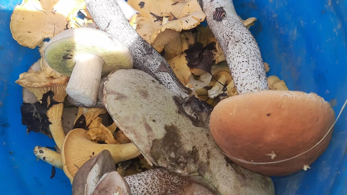     Источник: newsnn.ru