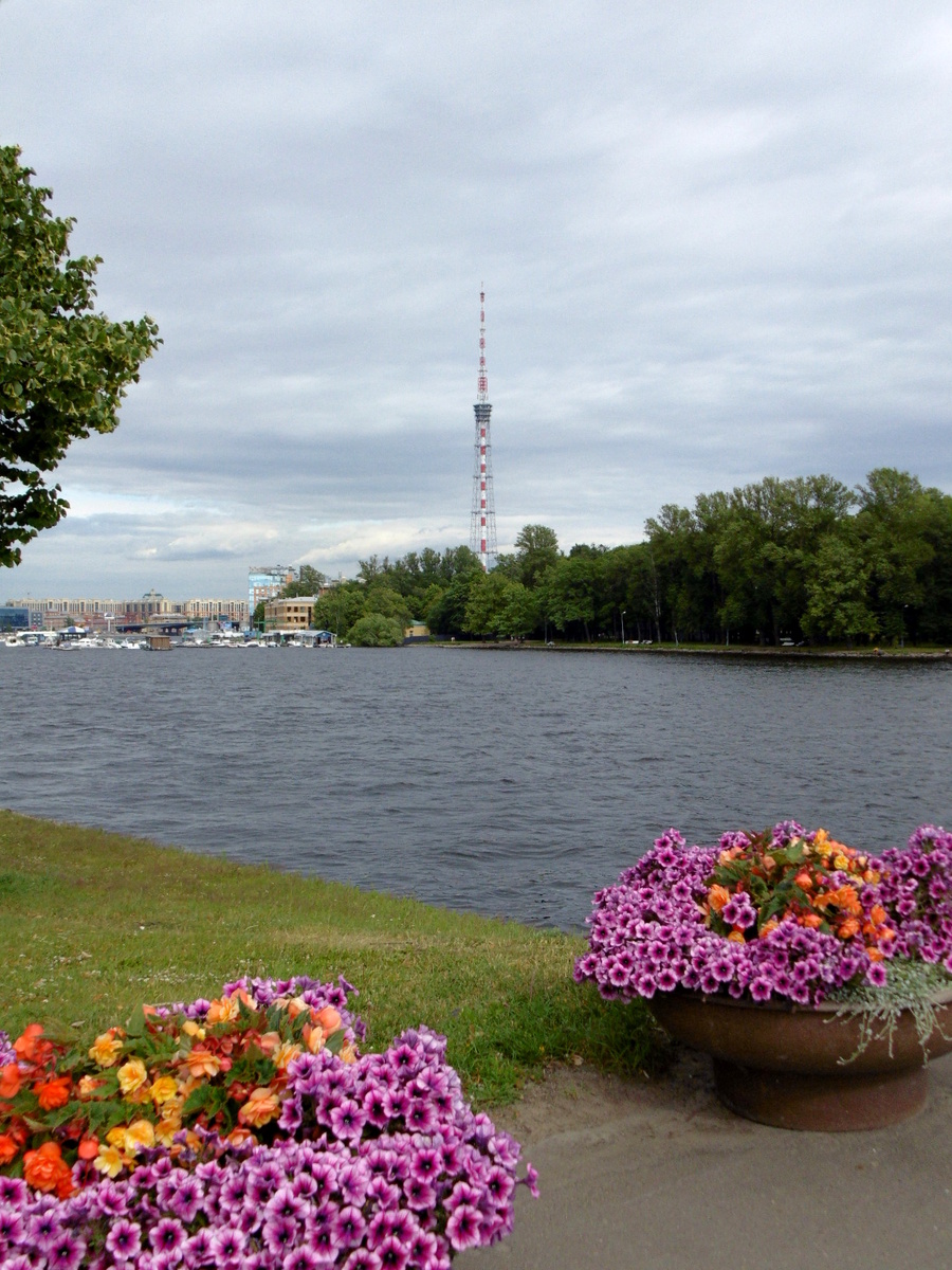 По дороге от Каменного - на Аптекарский острова. Фото автора