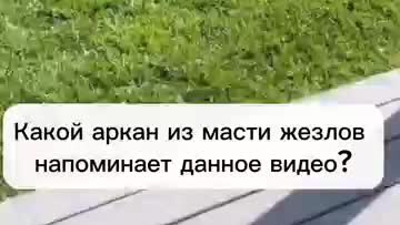 Угадайте, какой это Аркан? Еще больше на моем канале @yuliabulbash