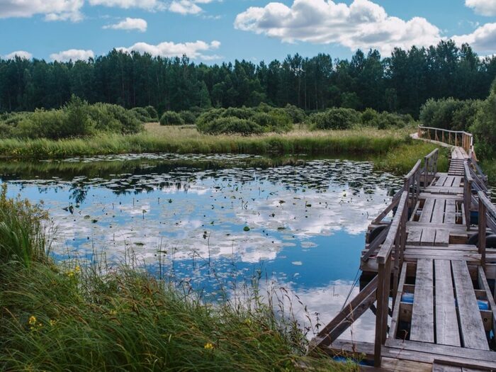 Фото взято из открытых источников в интернете