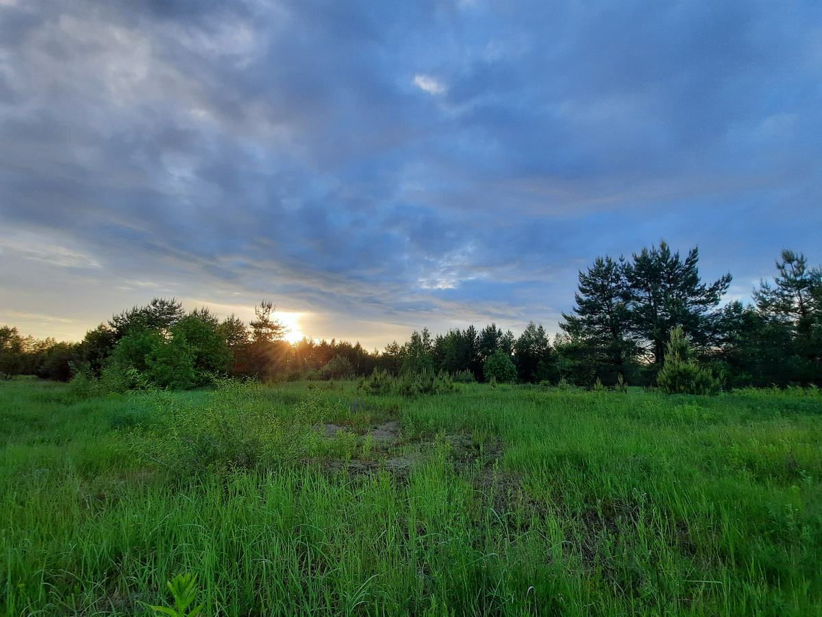 Первые лучи солнца. Фото автора.