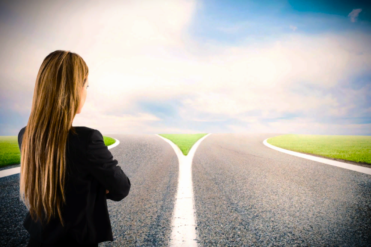 А какую дорогу выберете вы?