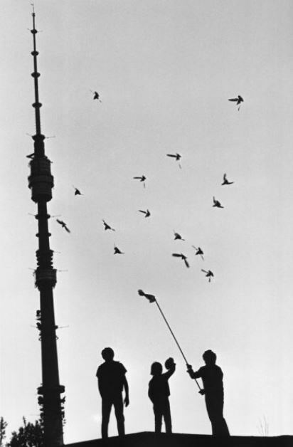 Владимир Лагранж. Голубятники. 1972 год. Галерея Люмьер, Москва