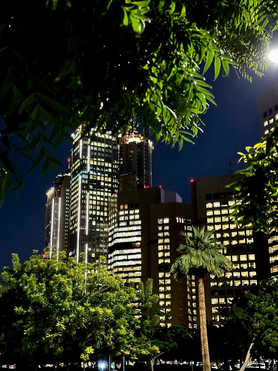 Вид с набережной Корниш в Абу-Даби. Фото автора