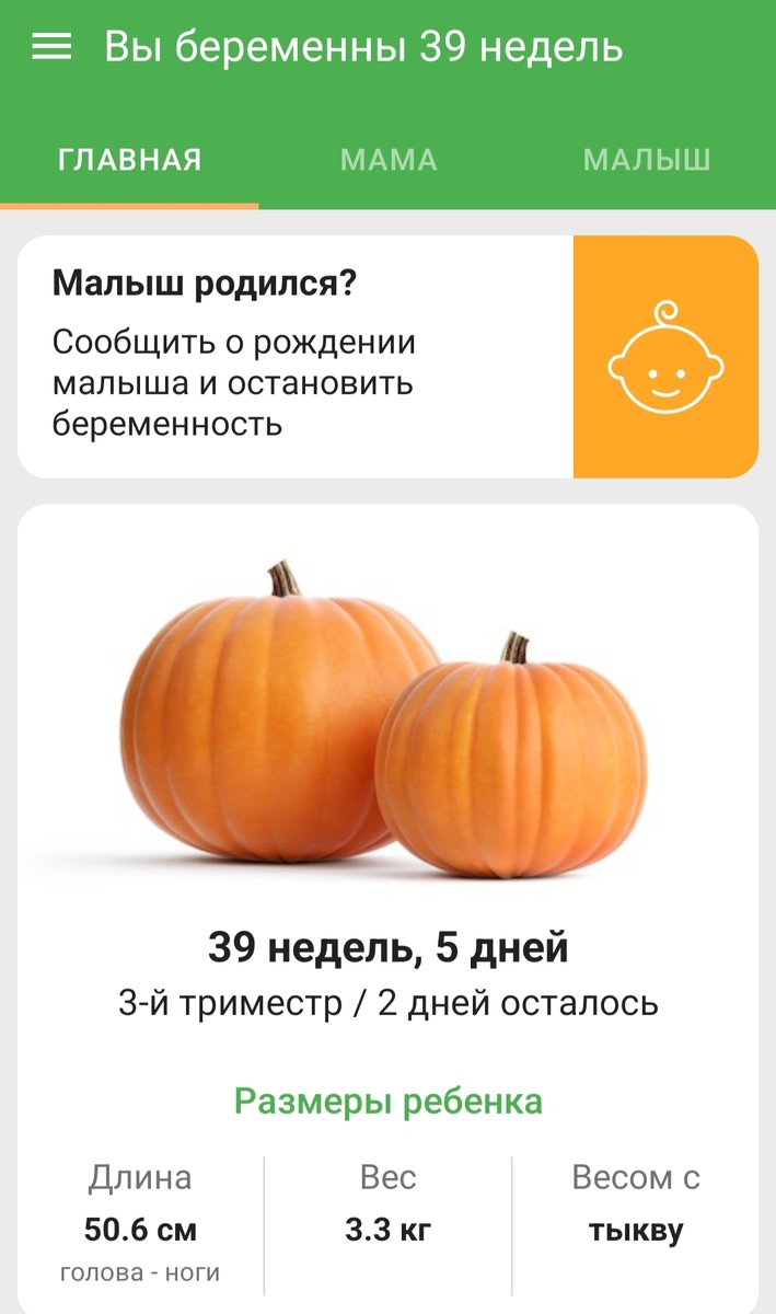 В приложение уже и заглядывать не хочется, оно как будто насмехается надо мной, но упражнения Кегеля стараюсь делать, авось поможет.