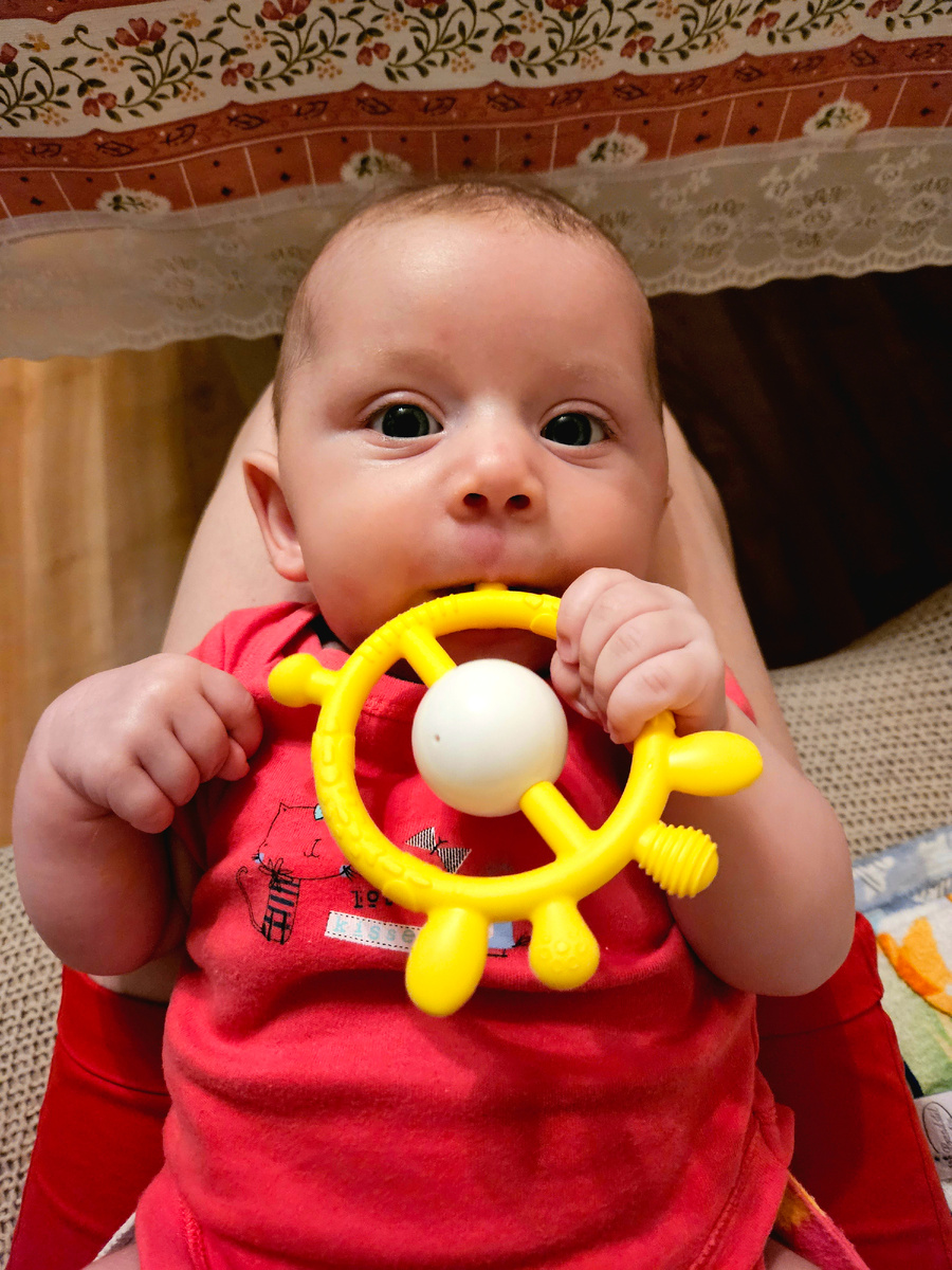 Держит игрушку и тянет её в рот